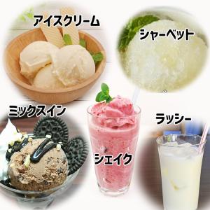 7/17 大阪ほんわかテレビで紹介 氷のう選べ...の詳細画像3