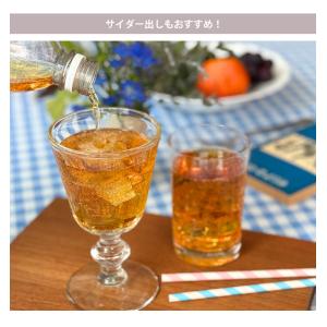 2026 カレルチャペック 水出しアイスティー...の詳細画像4