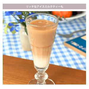 2026 カレルチャペック 水出しアイスティー...の詳細画像5