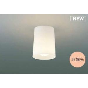 天井 シーリングライト〜4.5畳 照明器具 おしゃれ LED 電気工事必要 トイレ 玄関 廊下 シンプル 電球色 60W相当 非調光 プラスチック ホワイト