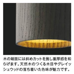 ペンダントライト ダクトレール取付タイプ シー...の詳細画像2