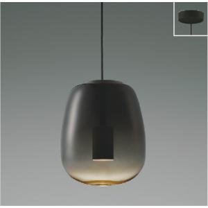 ペンダントライト直付けタイプ シーリングライト LED 照明器具 LED交換不可  非調光 フランジ