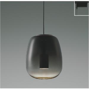 ペンダントライトダクトレール取付タイプ シーリングライト LED 照明器具 LED交換不可  非調光...