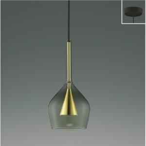 ペンダントライト直付けタイプ シーリングライト LED 照明器具 LED交換不可  非調光 フランジ