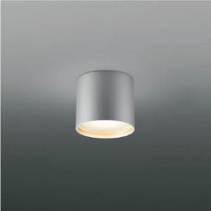 外灯 LED外灯 屋外 防水 防雨・防湿型 LEDランプ交換可能 非調光