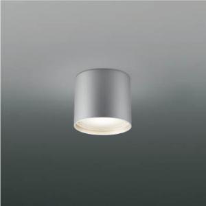 外灯 LED外灯 屋外 防水 防雨・防湿型 LEDランプ交換可能 非調光