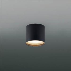 外灯 LED外灯 屋外 防水 防雨・防湿型 LEDランプ交換可能 非調光