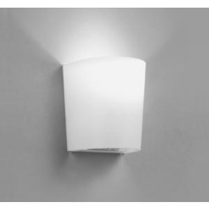Panasonic（パナソニック） ミニハロゲン電球 110V用 500W形