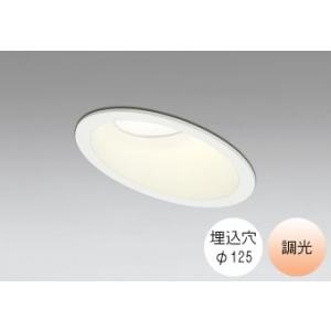 ダウンライト 125φ埋込穴 LED内蔵 60W相当 電球色 暖かみのあるオレンジ色の光 調光 R1...