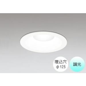 ダウンライト 125φ埋込穴 LED内蔵 100W相当 昼白色 爽やかな白色の光 調光 準耐火構造対...