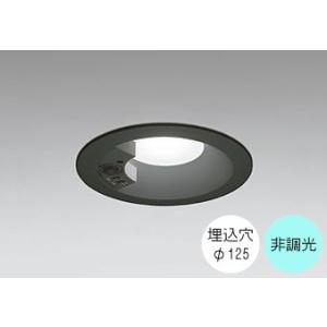 ダウンライト 125φ埋込穴 LED内蔵 100W相当 昼白色 爽やかな白色の光 調光不可 センサー...