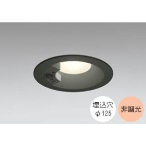 ダウンライト 125φ埋込穴 LED内蔵 60W相当 電球色 暖かみのあるオレンジ色の光 調光不可 ...