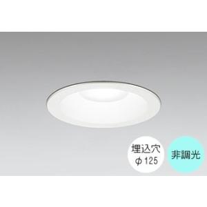ダウンライト 125φ埋込穴 LED内蔵 100W相当 昼白色 5000K 調光不可 軒下取付専用 ...
