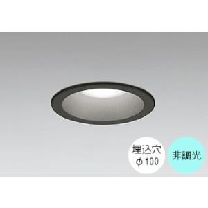 ダウンライト 100φ埋込穴 LED内蔵 100W相当 昼白色 5000K 調光不可 軒下取付専用 ...