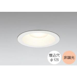 ダウンライト 125φ埋込穴 LED内蔵 100W相当 電球色 2700K 調光不可 軒下取付専用 ...