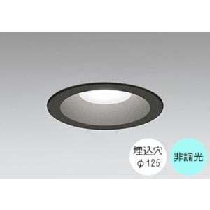 ダウンライト 125φ埋込穴 LED内蔵 60W相当 昼白色 5000K 調光不可 軒下取付専用 屋...