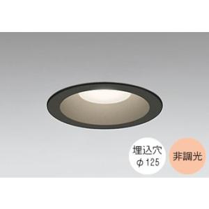 ダウンライト 125φ埋込穴 LED内蔵 60W相当 電球色 2700K 調光不可 軒下取付専用 屋...