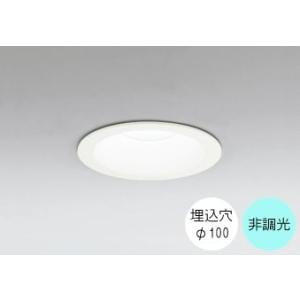 ダウンライト 100φ埋込穴 LED内蔵 100W相当 昼白色 爽やかな白色の光 調光不可 準耐火構...