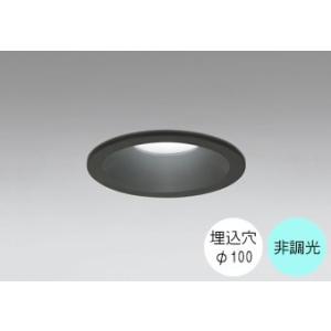 ダウンライト 100φ埋込穴 LED内蔵 100W相当 昼白色 爽やかな白色の光 調光不可 準耐火構...