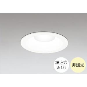 ダウンライト 125φ埋込穴 LED内蔵 100W相当 温白色 明るい雰囲気の黄色い光 調光不可 準...
