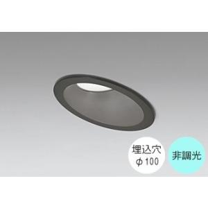 ダウンライト 100φ埋込穴 LED内蔵 100W相当 昼白色 爽やかな白色の光 調光不可 R15ク...