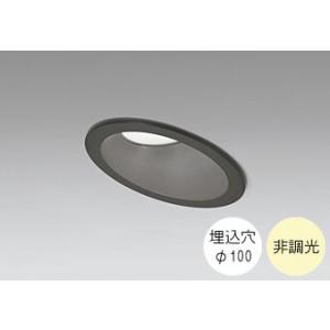 ダウンライト 100φ埋込穴 LED内蔵 60W相当 温白色 明るい雰囲気の黄色い光 調光不可 R1...