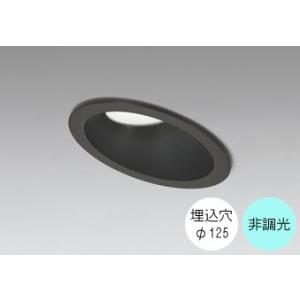 ダウンライト 125φ埋込穴 LED内蔵 100W相当 昼白色 爽やかな白色の光 調光不可 R15ク...