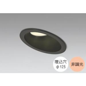 ダウンライト 125φ埋込穴 LED内蔵 60W相当 電球色 暖かみのあるオレンジ色の光 調光不可 ...