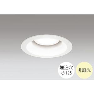 ダウンライト 125φ埋込穴 LED電球交換型 100W相当 温白色 明るい雰囲気の黄色い光 調光不...