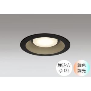 ダウンライト 125φ埋込穴 LED電球交換型 100W相当 電球色〜昼光色 色の変化を楽しむ 調光...