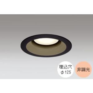 【新品／未使用品】オーデリックLED電球交換型ダウンライトOD361204 ODELIC（オーデリック） ダウンライト 100φ埋込穴 LED電球交換型 60W