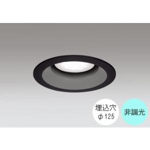 ダウンライト 125φ埋込穴 LED電球交換型 100W相当 昼白色 爽やかな白色の光 調光不可 R...