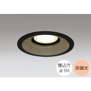 ダウンライト 150φ埋込穴 LED電球交換型 100W相当 電球色 オレンジ色の光 調光不可 R1...