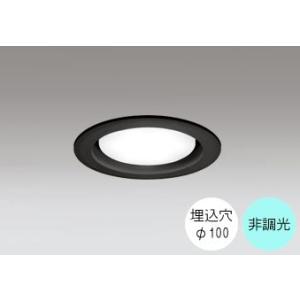 ダウンライト 100φ埋込穴 LED電球交換型 60W相当 昼白色 爽やかな白色の光 調光不可 R1...