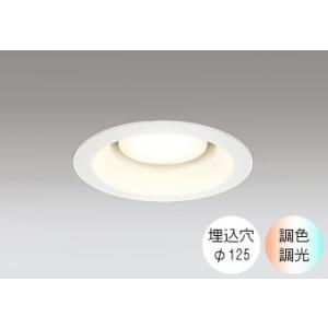 ダウンライト 125φ埋込穴 LED電球交換型 60W相当 電球色〜昼光色 色の変化を楽しむ 調光 ...