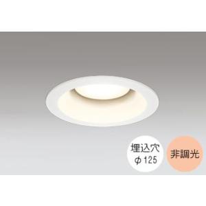 ダウンライト 125φ埋込穴 LED電球交換型 60W相当 電球色 オレンジ色の光 調光不可 R15...