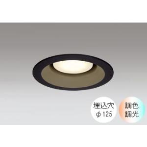ダウンライト 125φ埋込穴 LED電球交換型 60W相当 電球色〜昼光色 色の変化を楽しむ 調光 ...