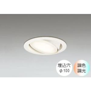 ダウンライト 100φ埋込穴 LED電球交換型 100W相当 電球色〜昼光色 色の変化を楽しむ 調光...