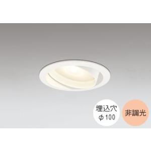 ダウンライト 100φ埋込穴 LED電球交換型 100W相当 電球色 オレンジ色の光 調光不可 R1...