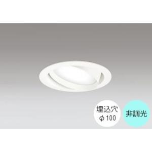 ダウンライト 100φ埋込穴 LED電球交換型 100W相当 昼白色 爽やかな白色の光 調光不可 R...