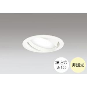 ダウンライト 100φ埋込穴 LED電球交換型 100W相当 温白色 明るい雰囲気の黄色い光 調光不...