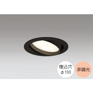 ダウンライト 100φ埋込穴 LED電球交換型 100W相当 電球色 オレンジ色の光 調光不可 R1...