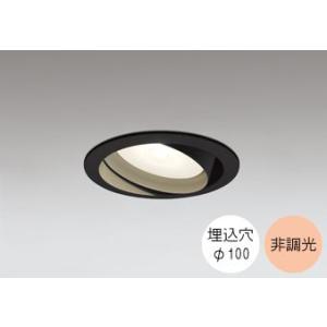 ダウンライト 100φ埋込穴 LED電球交換型 100W相当 電球色 オレンジ色の光 調光不可 R1...