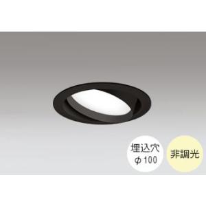 ダウンライト 100φ埋込穴 LED電球交換型 100W相当 温白色 明るい雰囲気の黄色い光 調光不...