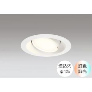 ダウンライト 125φ埋込穴 LED電球交換型 100W相当 電球色〜昼光色 色の変化を楽しむ 調光...