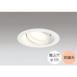 ODELIC 爆買い ダウンライト 125φ埋込穴 LED内蔵 100W相当 電球