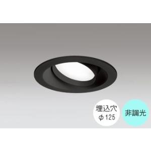 ダウンライト 125φ埋込穴 LED電球交換型 100W相当 昼白色 爽やかな白色の光 調光不可 R...