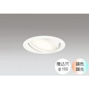 ダウンライト 100φ埋込穴 LED電球交換型 60W相当 電球色〜昼光色 色の変化を楽しむ 調光 ...