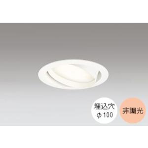 Panasonic（パナソニック） ダウンライト 100φ埋込穴 ユニバーサル型