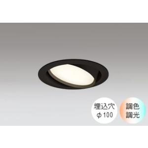 ダウンライト 100φ埋込穴 LED電球交換型 60W相当 電球色〜昼光色 色の変化を楽しむ 調光 ...